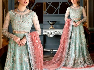Luxury Heavy Embroidered Net Bridal Lehenga Dress 2024 Price in Pakistan